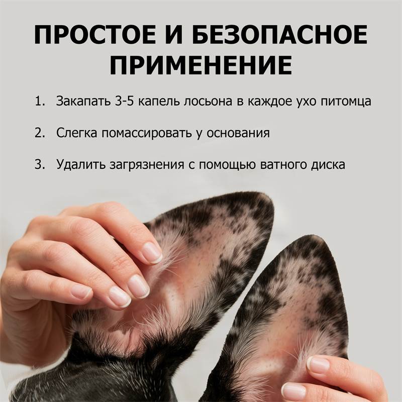 61c2fa44-6d3d-11f0-84b8-00d8617040a4-purshatzoocosmet_8