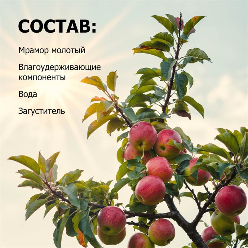 67476a34-20ea-11f0-84b5-00d8617040a4_5