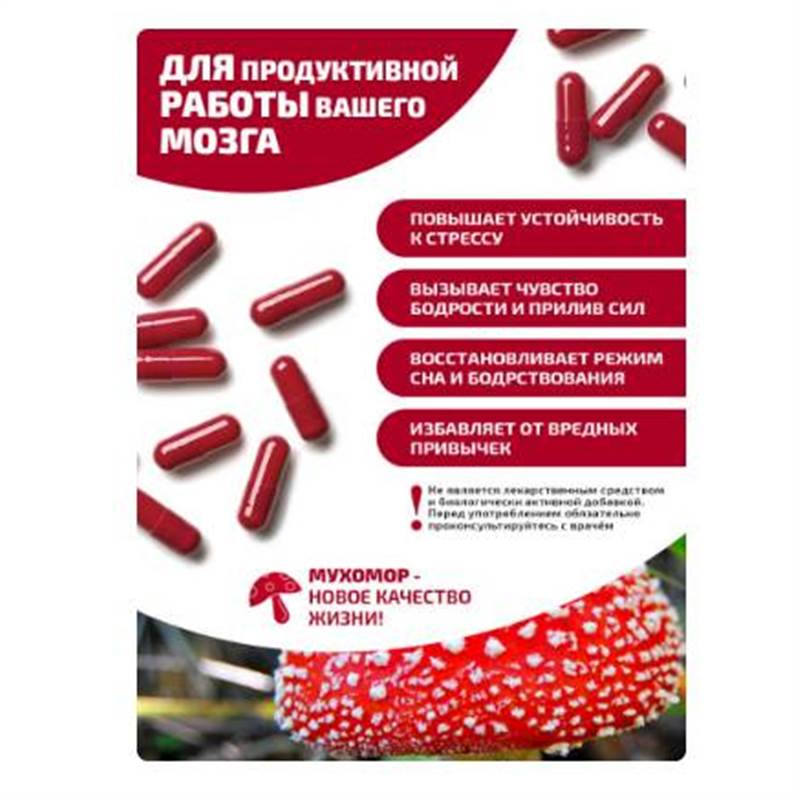 Снимок экрана 2025-06-18 011023