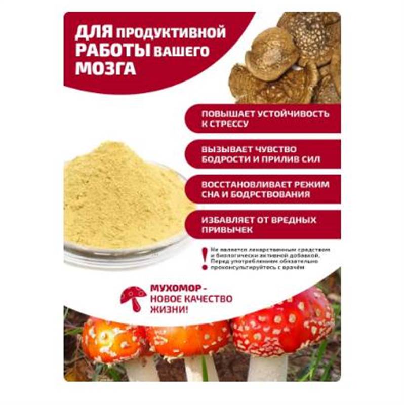 Снимок экрана 2025-06-18 011702