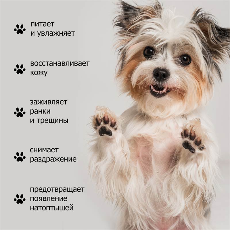 5e1d6adb-51ad-11f0-84b8-00d8617040a4-purshatzoocosmet_5