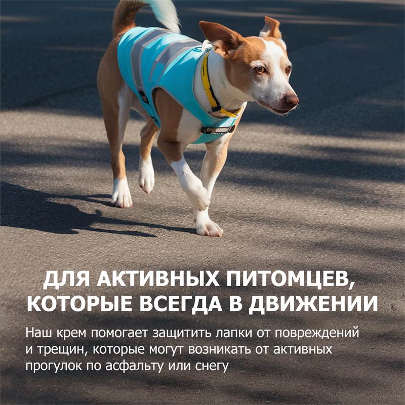 5e1d6adb-51ad-11f0-84b8-00d8617040a4-purshatzoocosmet_7