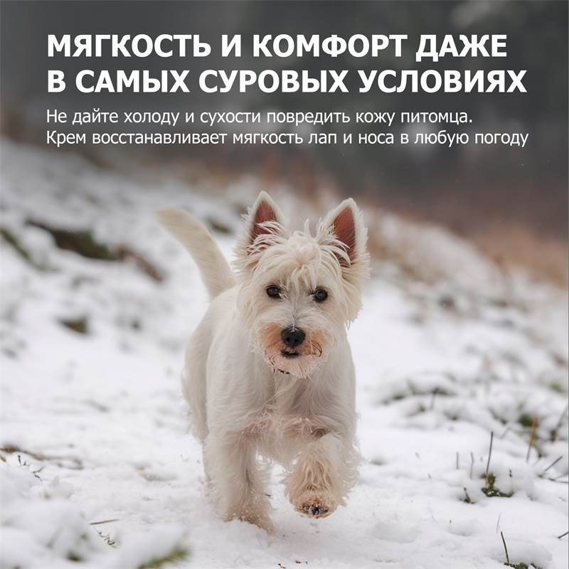 5e1d6adb-51ad-11f0-84b8-00d8617040a4-purshatzoocosmet_9