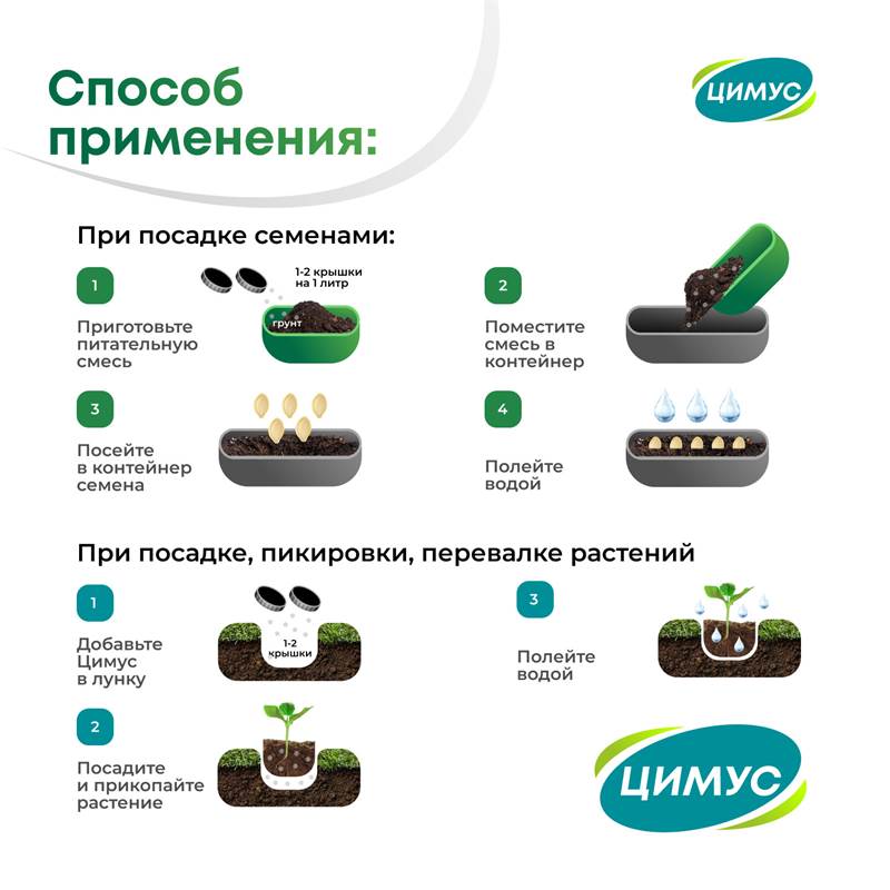 озон (37)