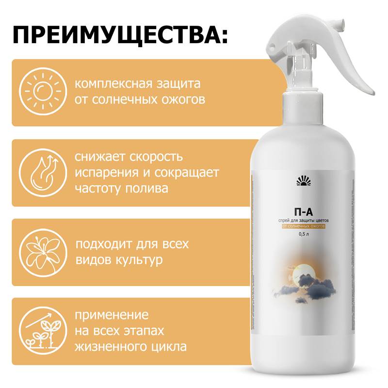fc38a400-2fe5-11f0-84b5-00d8617040a4_8
