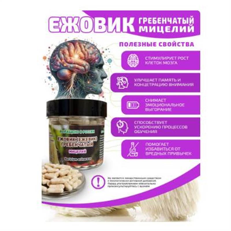 Снимок экрана 2025-06-18 011850