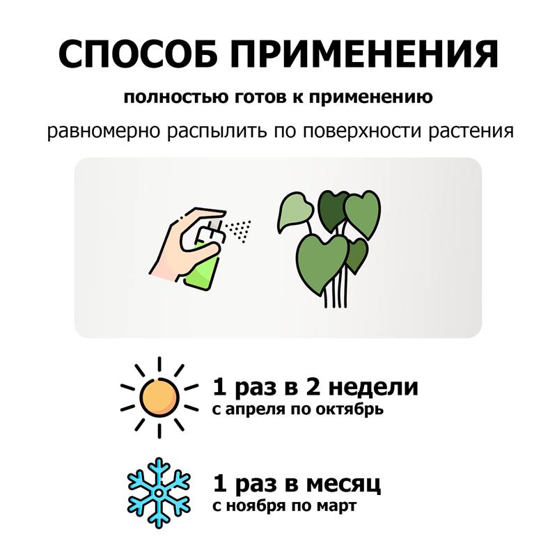 4fe7b913-0824-11f0-84b5-00d8617040a4_5