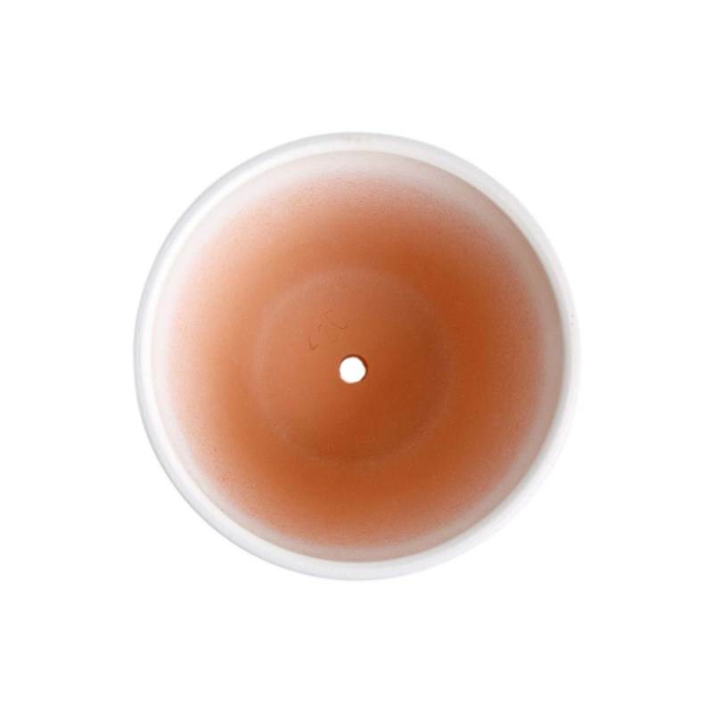13976_3_EFBF14E9-065C-4B25-9950-5220142447E0