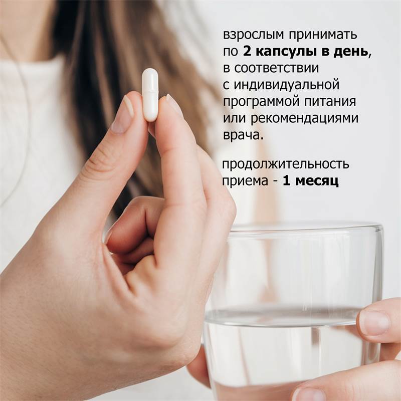 9e3acd6e-362a-11f0-84b5-00d8617040a4-purshatbadnovoti_6