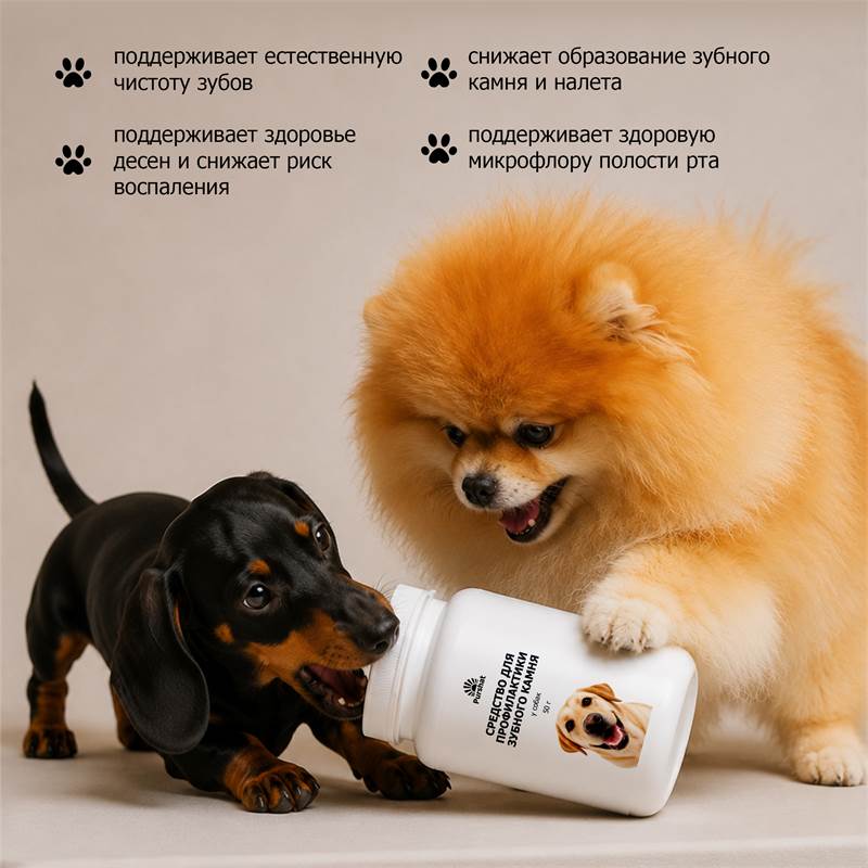 acb60758-7b5b-11f1-84bd-00d8617040a4_10