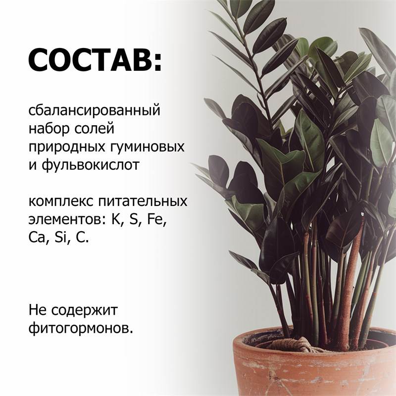 bc382a91-b214-11ef-84a4-00d8617040a4_6