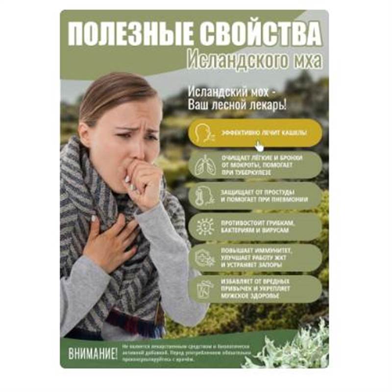 Снимок экрана 2025-06-18 012910