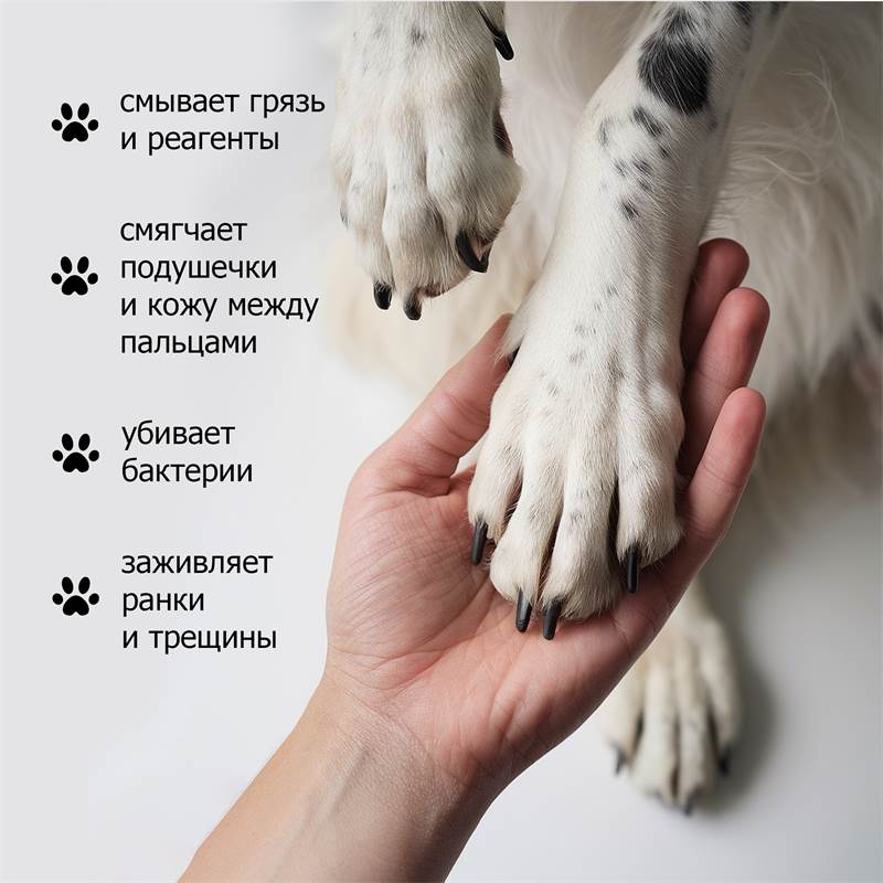 5d913608-58f4-11f0-84b8-00d8617040a4-purshatzoocosmet_4