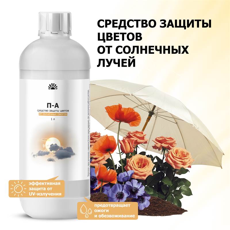 9c92b6af-20ea-11f0-84b5-00d8617040a4_2
