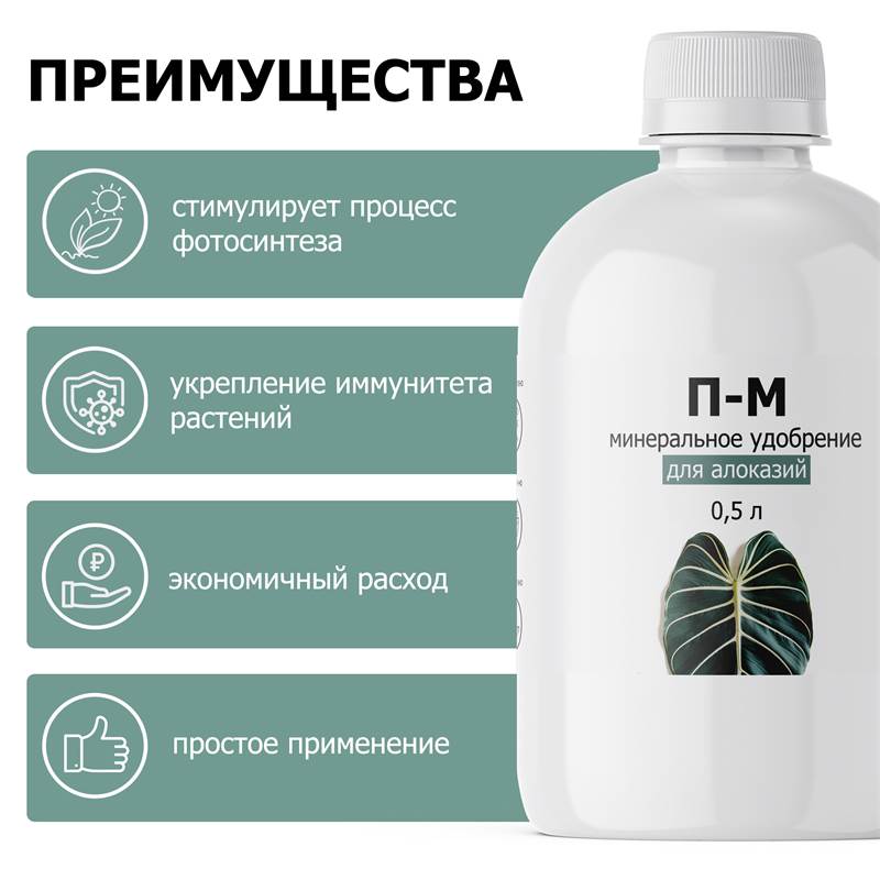 9e6ec853-1aa6-11f0-84b5-00d8617040a4_4