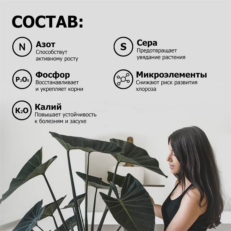 9e6ec853-1aa6-11f0-84b5-00d8617040a4_6