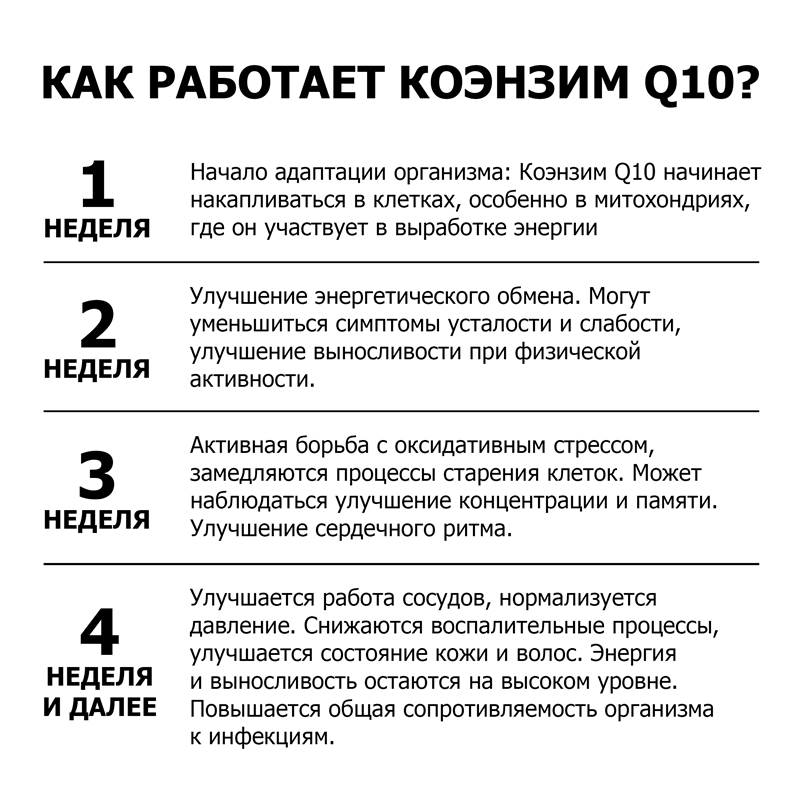 266ac41c-362b-11f0-84b5-00d8617040a4-purshatbadnovoti_6