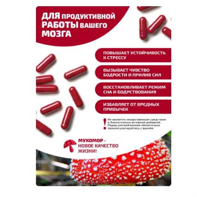 Снимок экрана 2025-06-18 011023