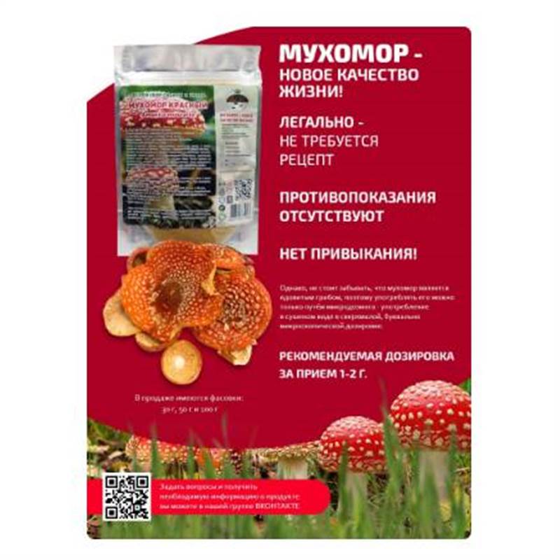Снимок экрана 2025-06-18 011428