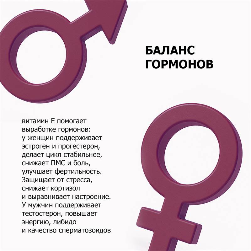 3d3210ce-a2ad-11f0-84b8-00d8617040a4-purshatbadnovoti_9