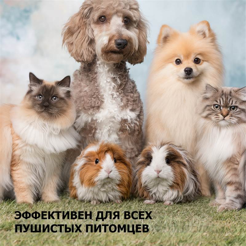 aca8a9f9-1c35-11f1-84b8-00d8617040a4-purshatcosmyoshk_10