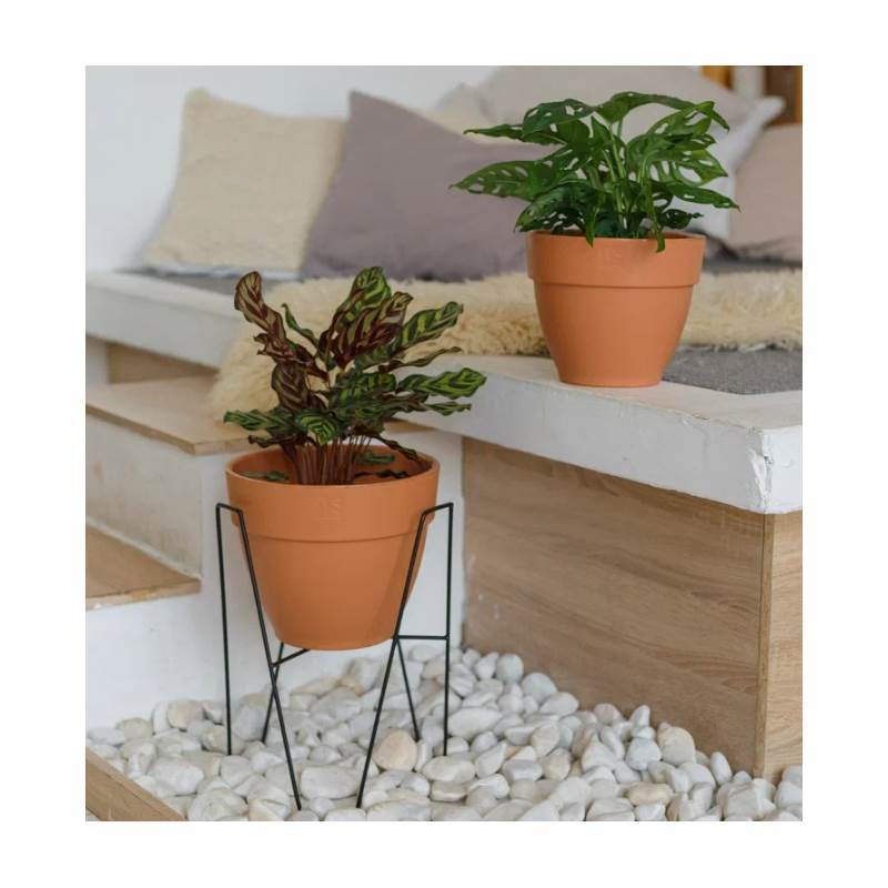 Снимок экрана 2025-06-16 044740