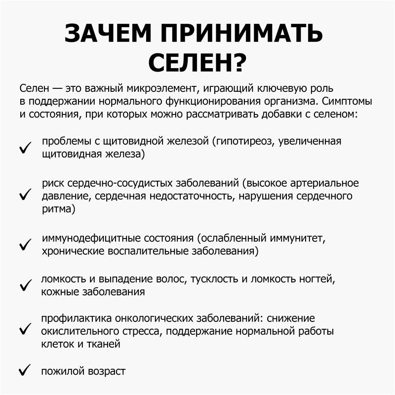 5f71646d-5124-11f0-84b8-00d8617040a4-purshatbadadygea_11