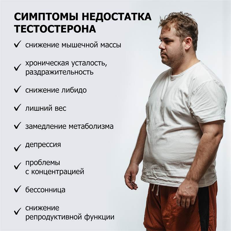 19422531-1ea8-11f0-84b5-00d8617040a4-purshatbadadygea_10