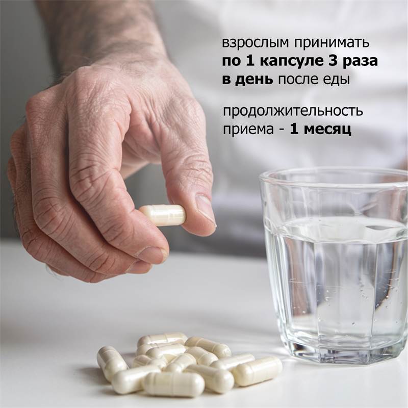 19422531-1ea8-11f0-84b5-00d8617040a4-purshatbadadygea_9