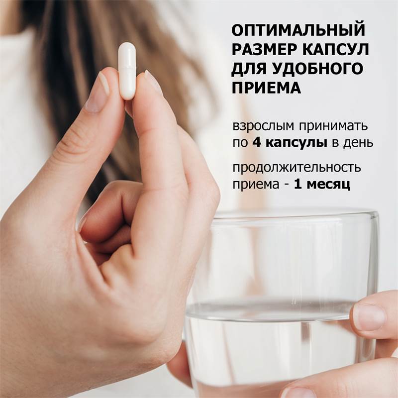 cb8bffc3-145f-11f0-84b5-00d8617040a4-purshatbadnovoti_6