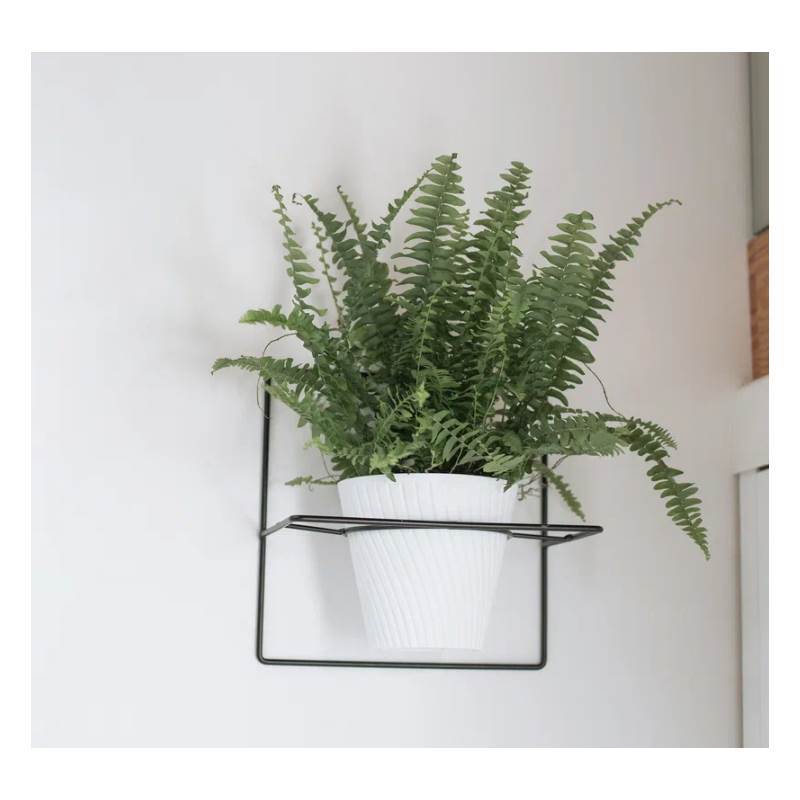 Снимок экрана 2025-06-16 044350