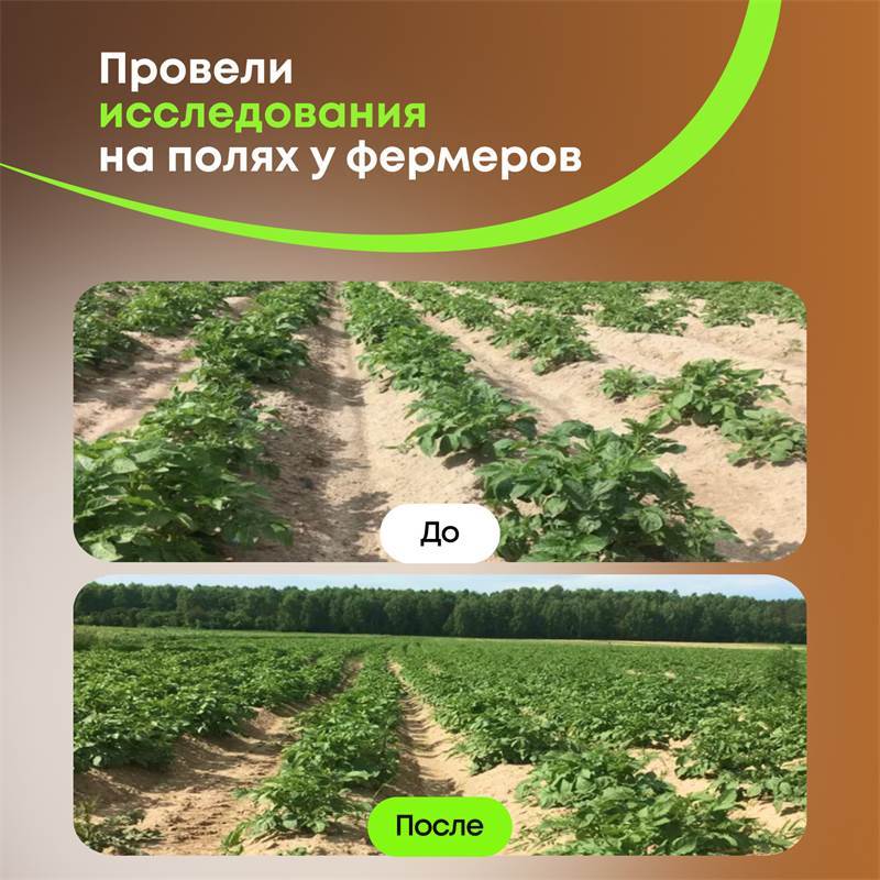 Доктор-6