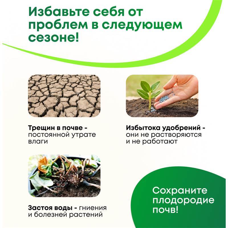 Ягодки