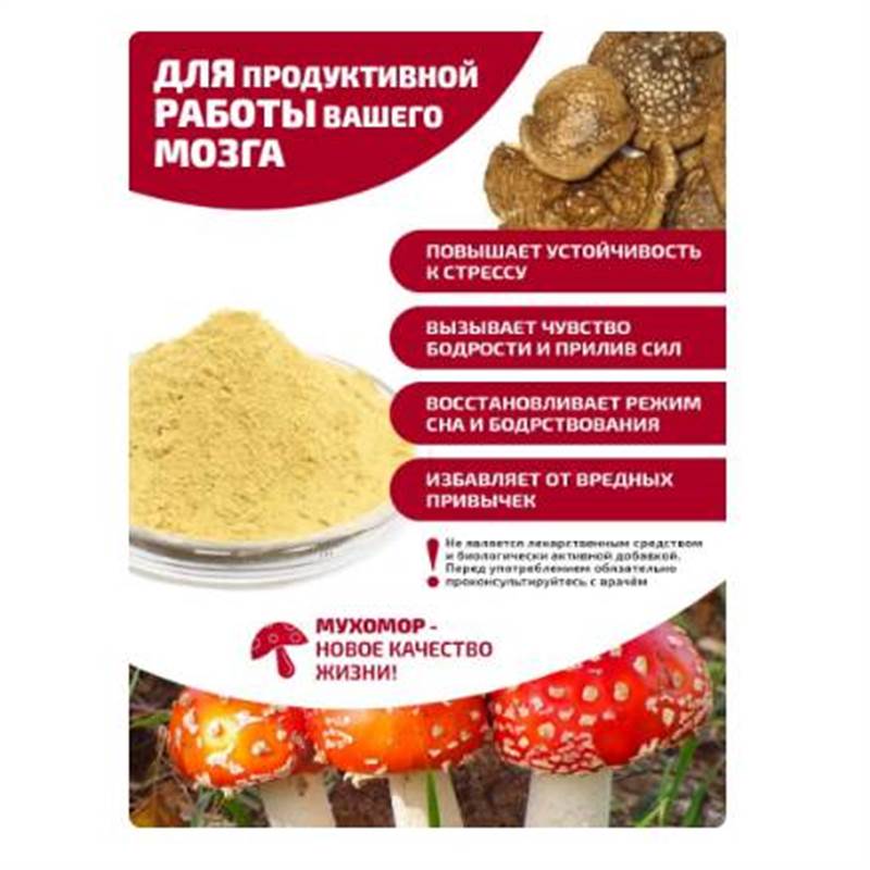 Снимок экрана 2025-06-18 011533