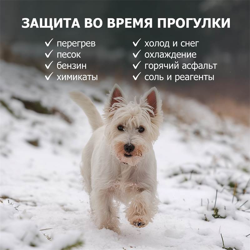 0ddfbf61-58f3-11f0-84b8-00d8617040a4_5