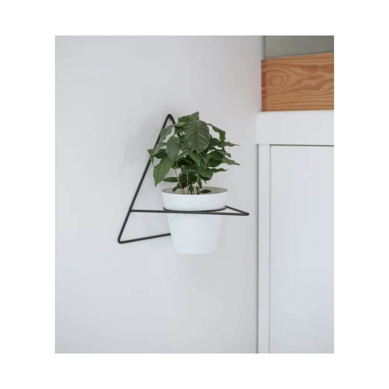 Снимок экрана 2025-06-16 044156