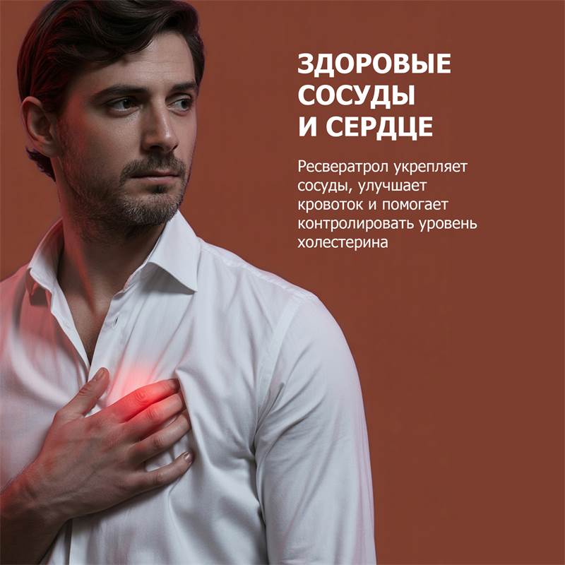 fdf10328-be0a-11f0-84b8-00d8617040a4-purshatbadlesnoy_11