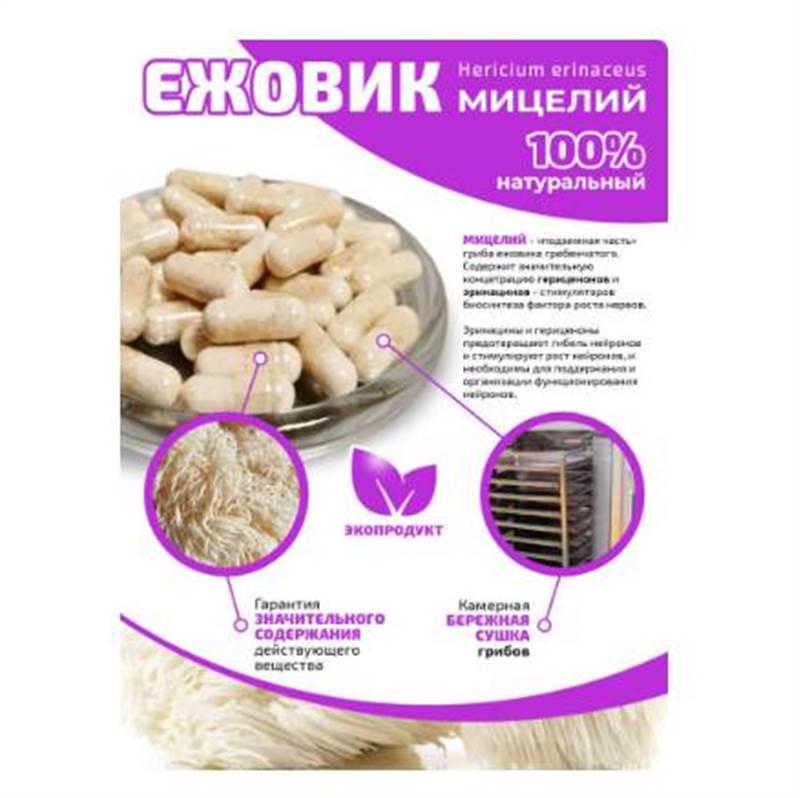 Снимок экрана 2025-06-18 011846