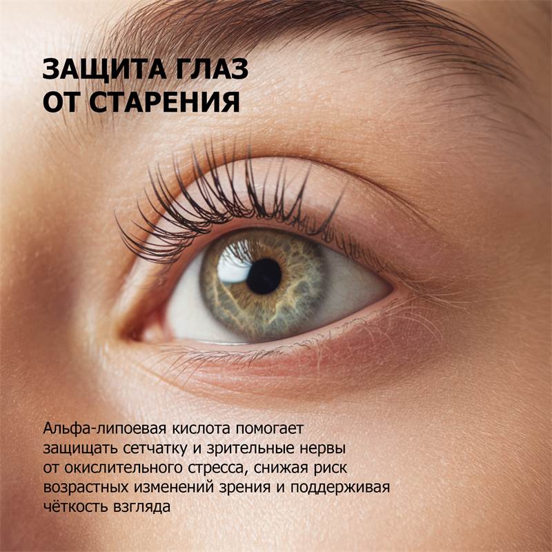 d2578538-8ef3-11f0-84b8-00d8617040a4-purshatbadadygea_8