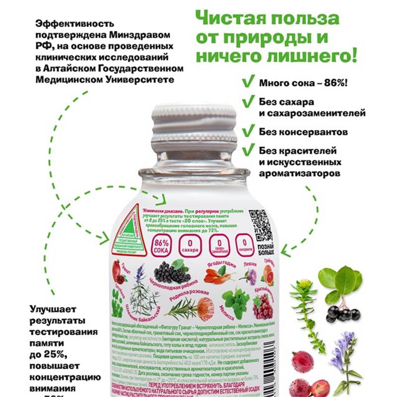 FitoGuru_intellect_ back side marketplace_visual_1