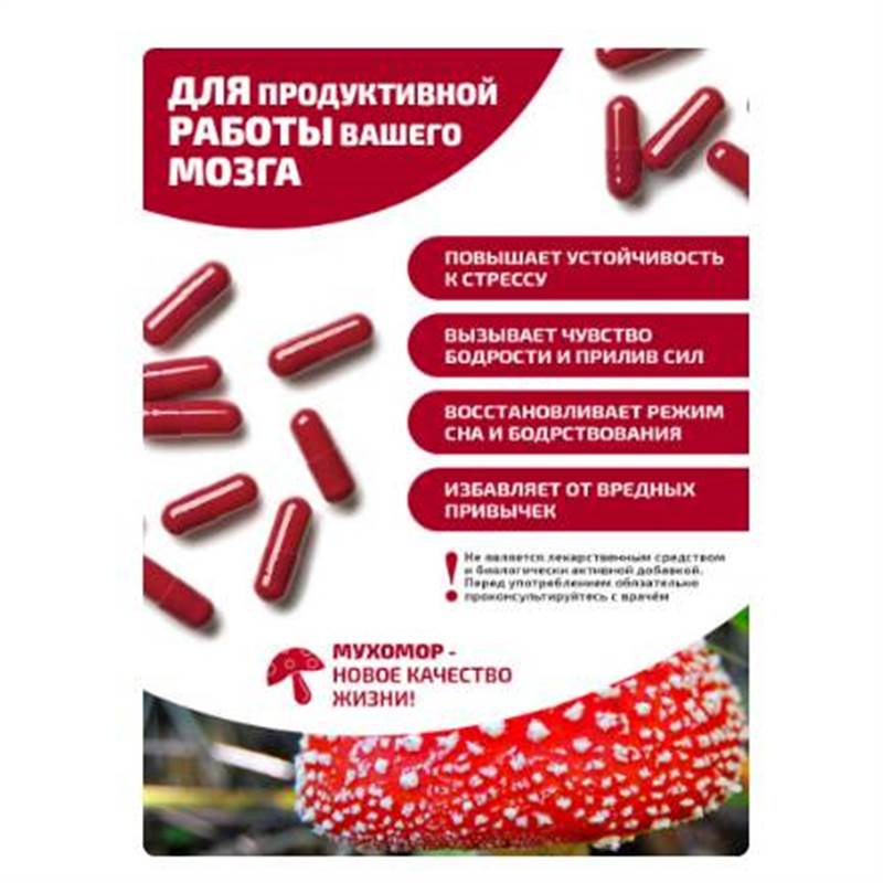 Снимок экрана 2025-06-18 011023