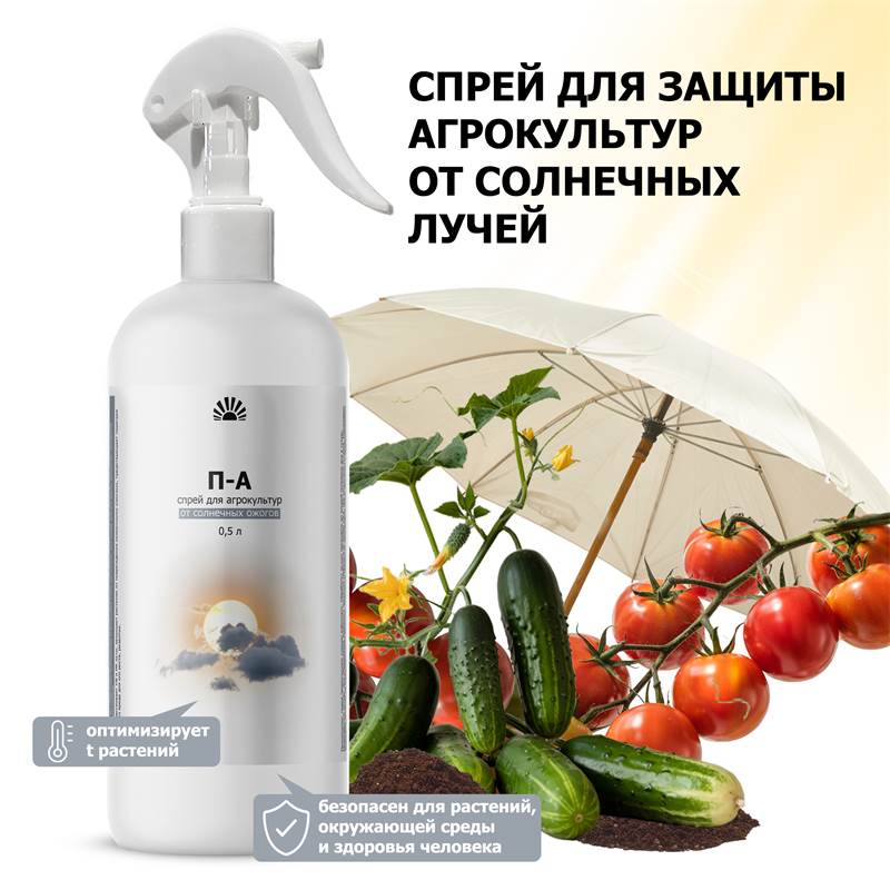c91781f3-2fe5-11f0-84b5-00d8617040a4_2