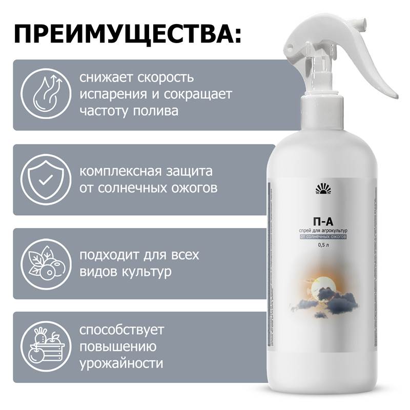 c91781f3-2fe5-11f0-84b5-00d8617040a4_8