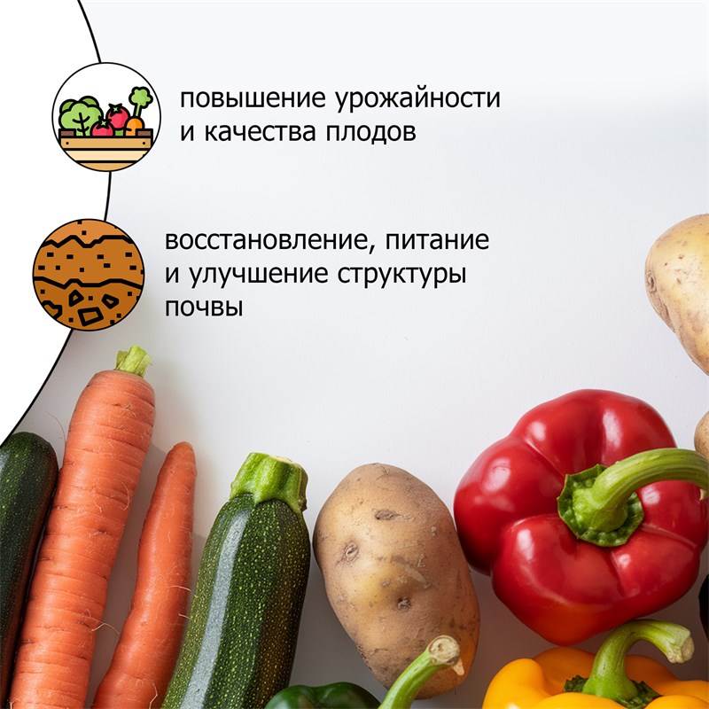 be5a4d74-dce6-11ef-84a8-00d8617040a4_4