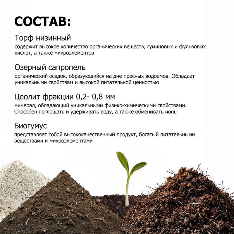 be5a4d74-dce6-11ef-84a8-00d8617040a4_5