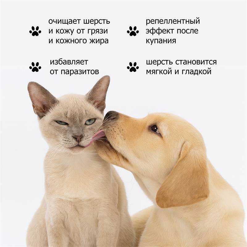 f9855452-d758-11f0-84b8-00d8617040a4-purshatcosmyoshk_11