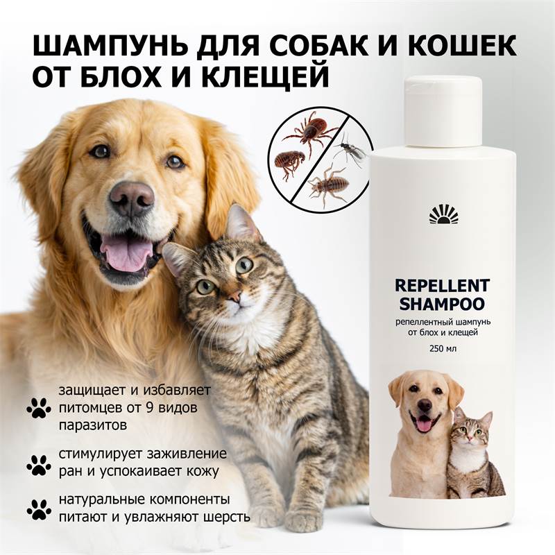 f9855452-d758-11f0-84b8-00d8617040a4-purshatcosmyoshk_3