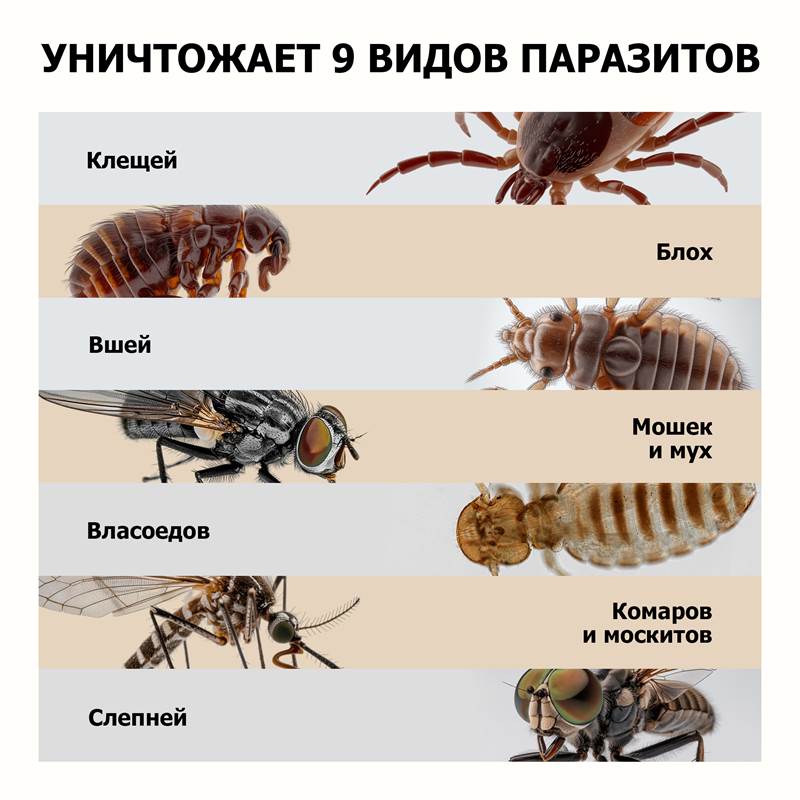 f9855452-d758-11f0-84b8-00d8617040a4-purshatcosmyoshk_8