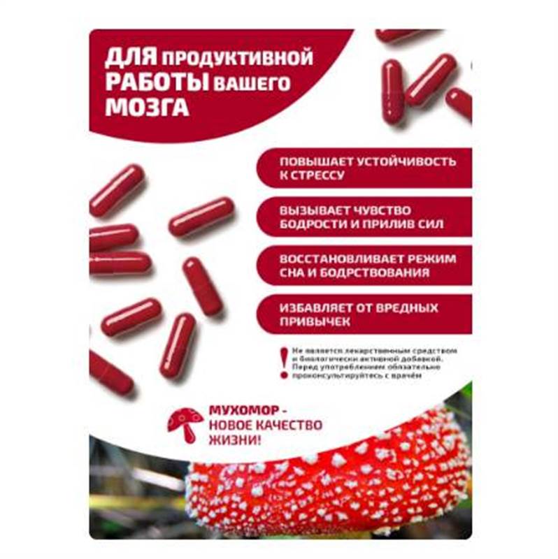 Снимок экрана 2025-06-18 011023