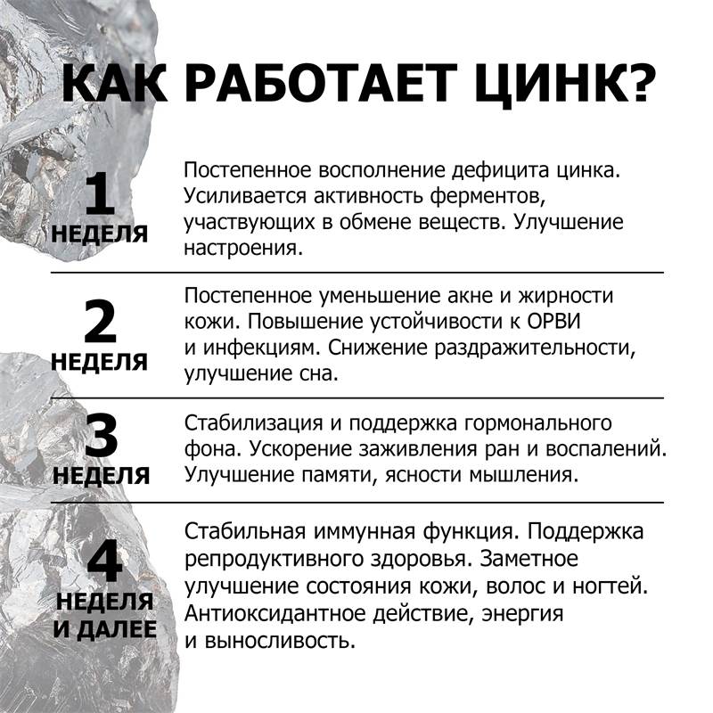 f20a8436-362a-11f0-84b5-00d8617040a4-purshatbadnovoti_6